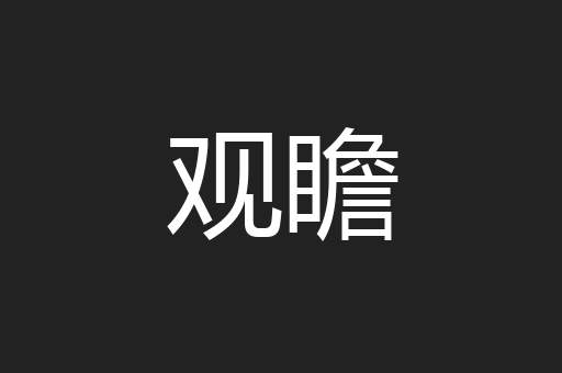 观瞻
