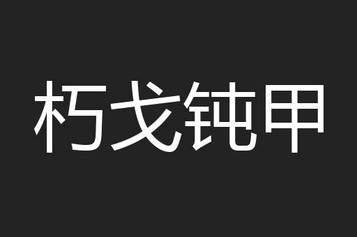 朽戈钝甲