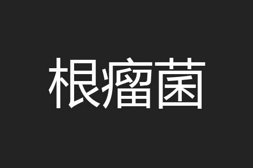 根瘤菌