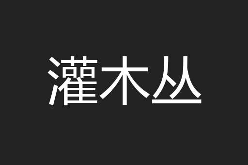 灌木丛