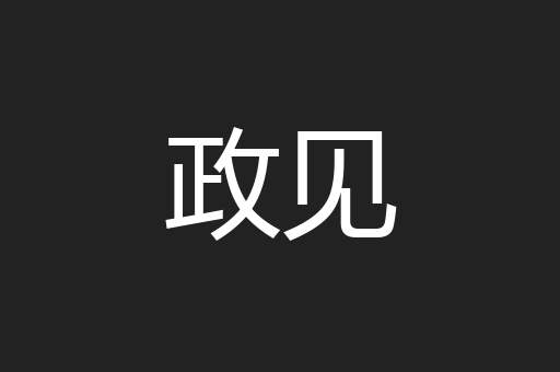 政见