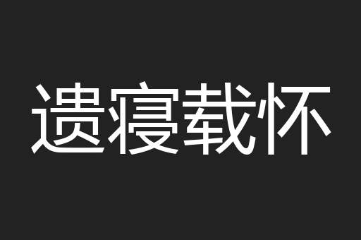 遗寝载怀