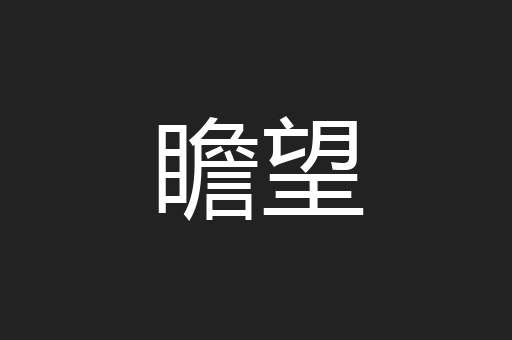 瞻望