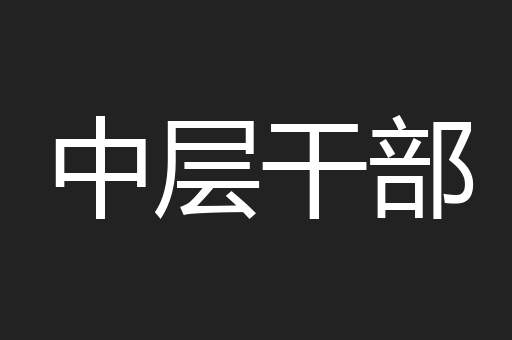 中层干部