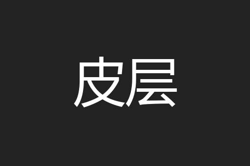 皮层