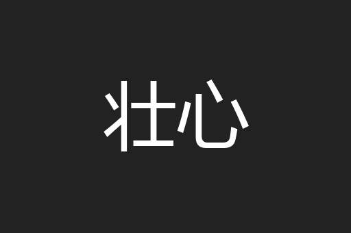 壮心