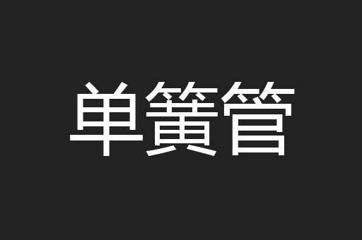 单簧管