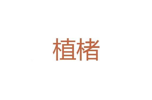 苦斗