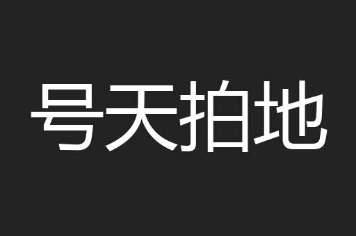 号天拍地