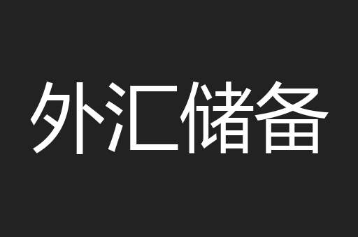 外汇储备