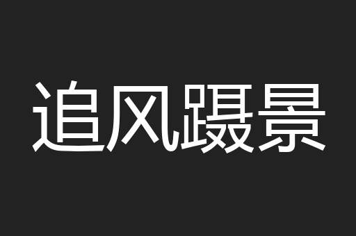 追风蹑景