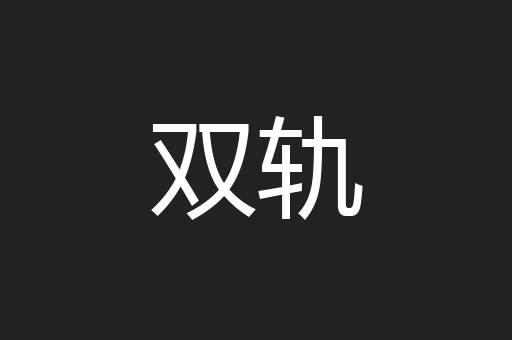双轨