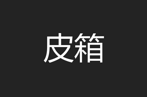 皮箱