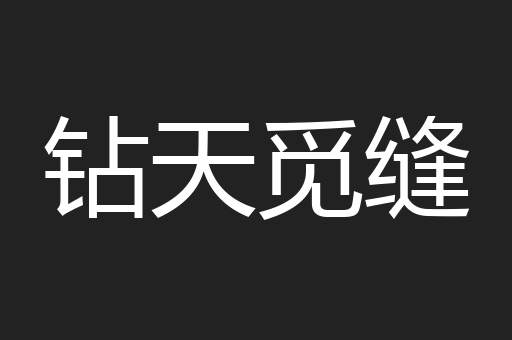 钻天觅缝