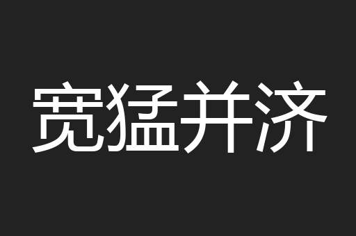 宽猛并济