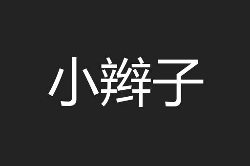 小辫子