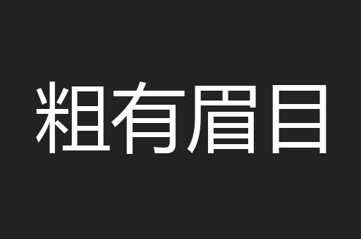 粗有眉目