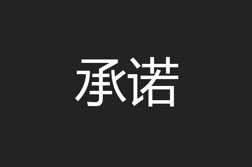 承诺