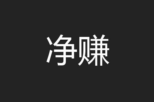 净赚