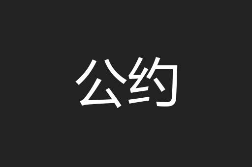 公约