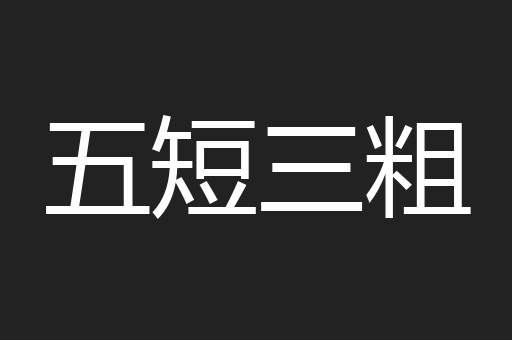五短三粗