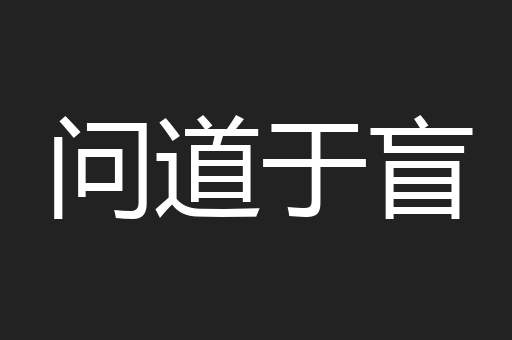 问道于盲