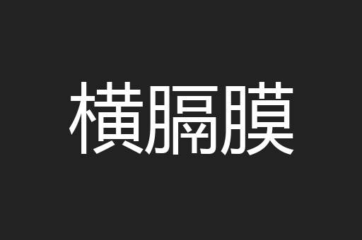 横膈膜