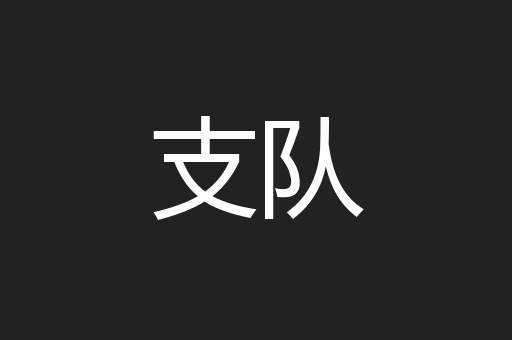支队