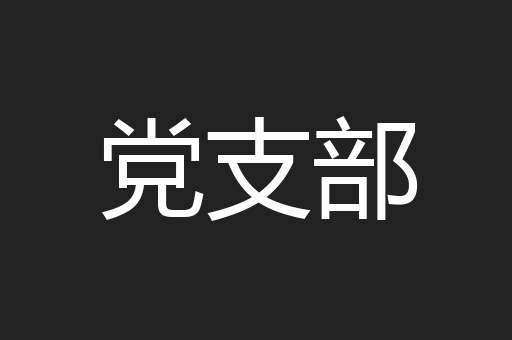 党支部