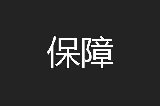 保障
