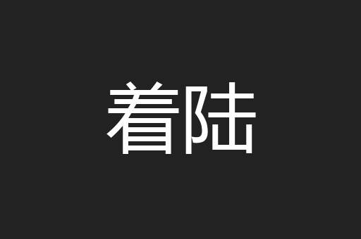 着陆