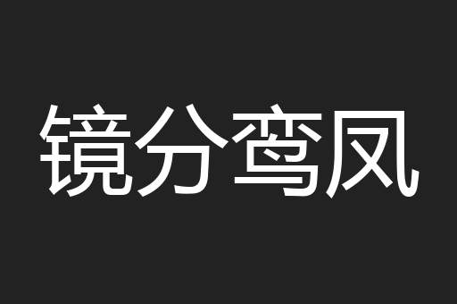 镜分鸾凤