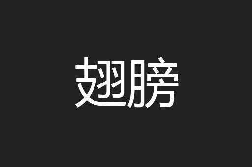 翅膀