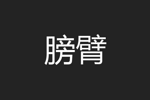 膀臂