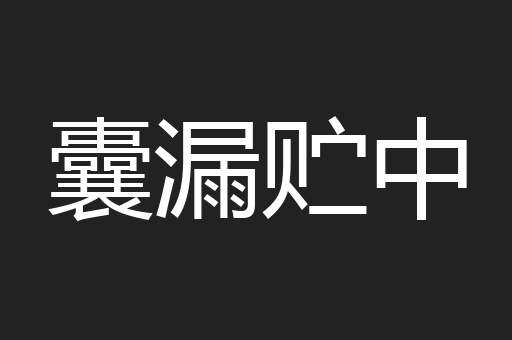 囊漏贮中