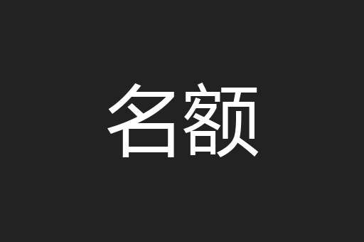 名额