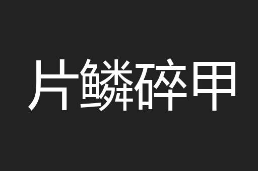 片鳞碎甲