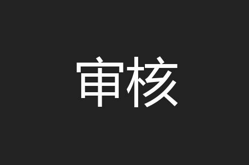 审核