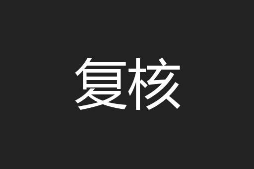复核