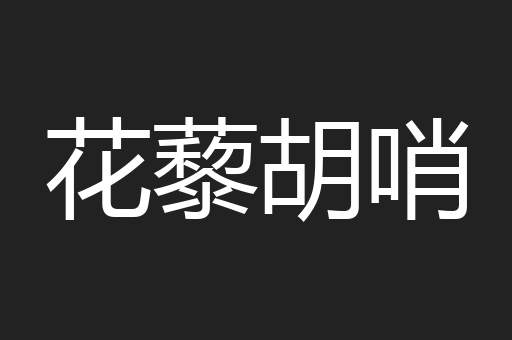 花藜胡哨