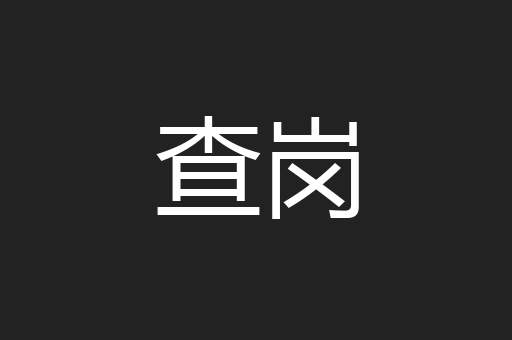 查岗