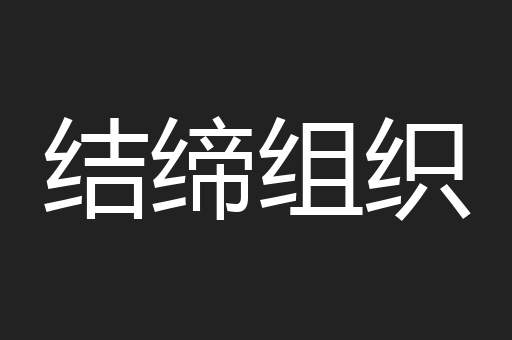 结缔组织