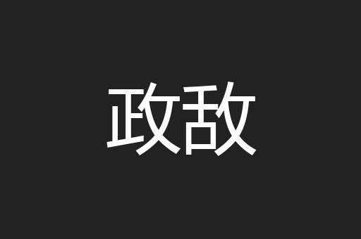 政敌