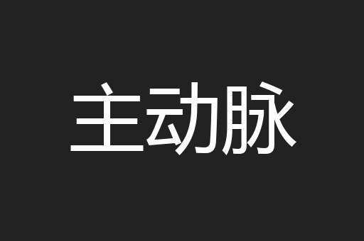 主动脉