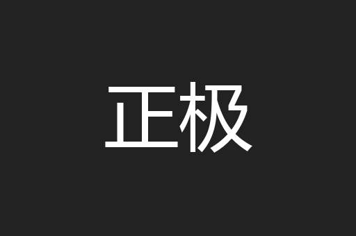 正极