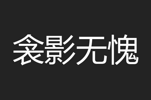 衾影无愧