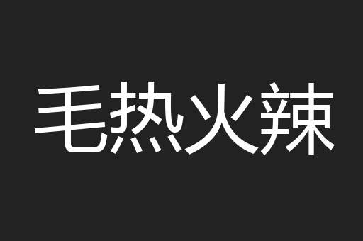 毛热火辣