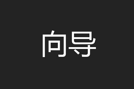 向导