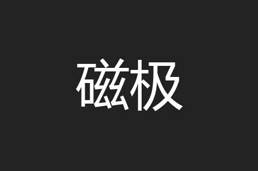 磁极