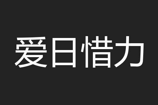 爱日惜力
